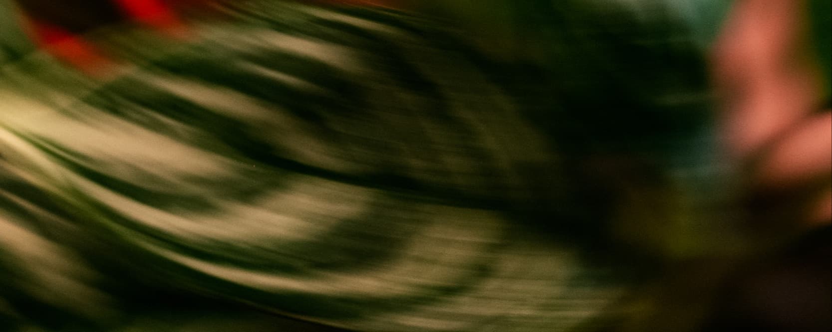 20251010 Wintercircus General CampusCollective FarahLieten-83