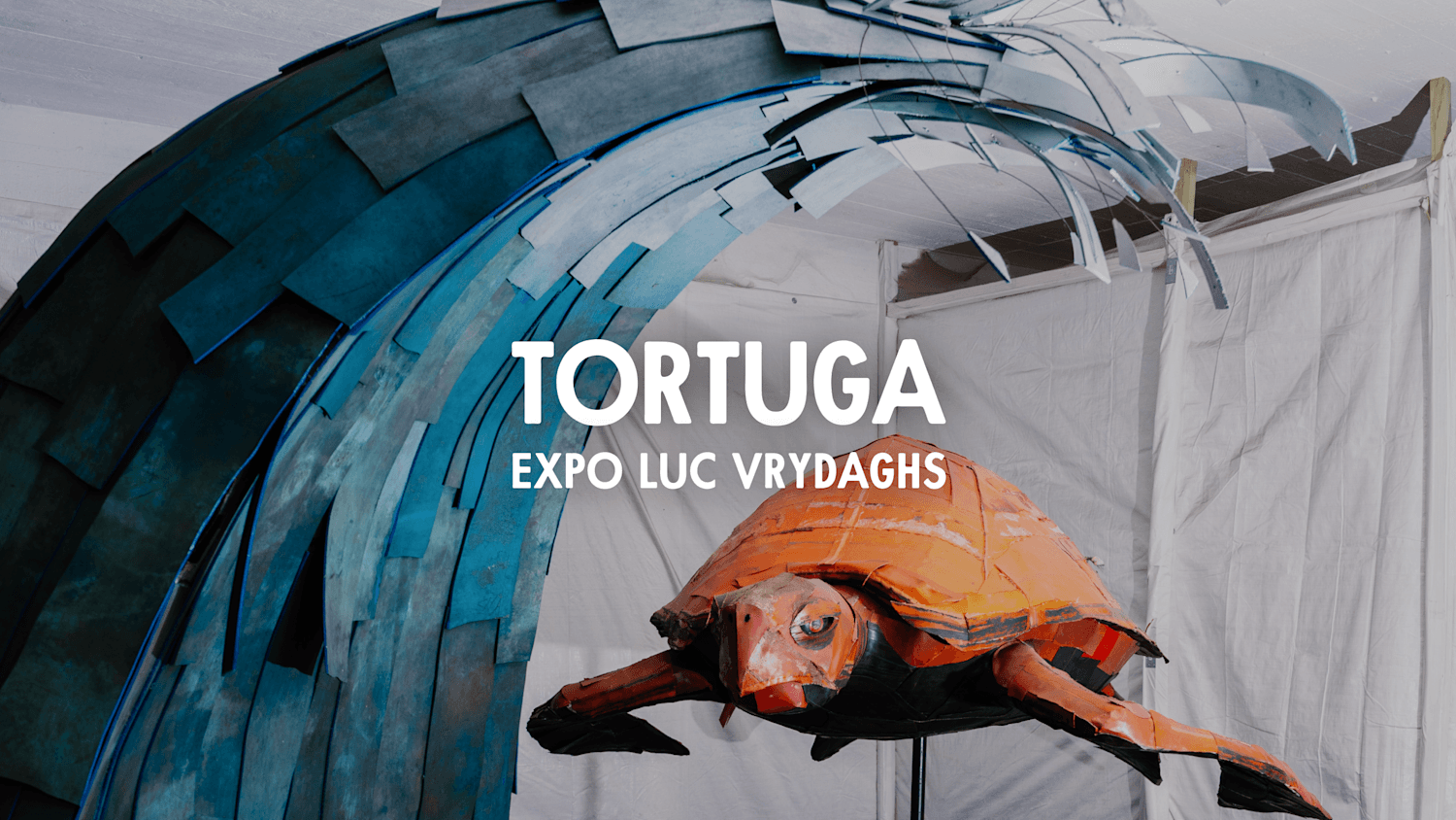 Tortuga Expo Event Cover