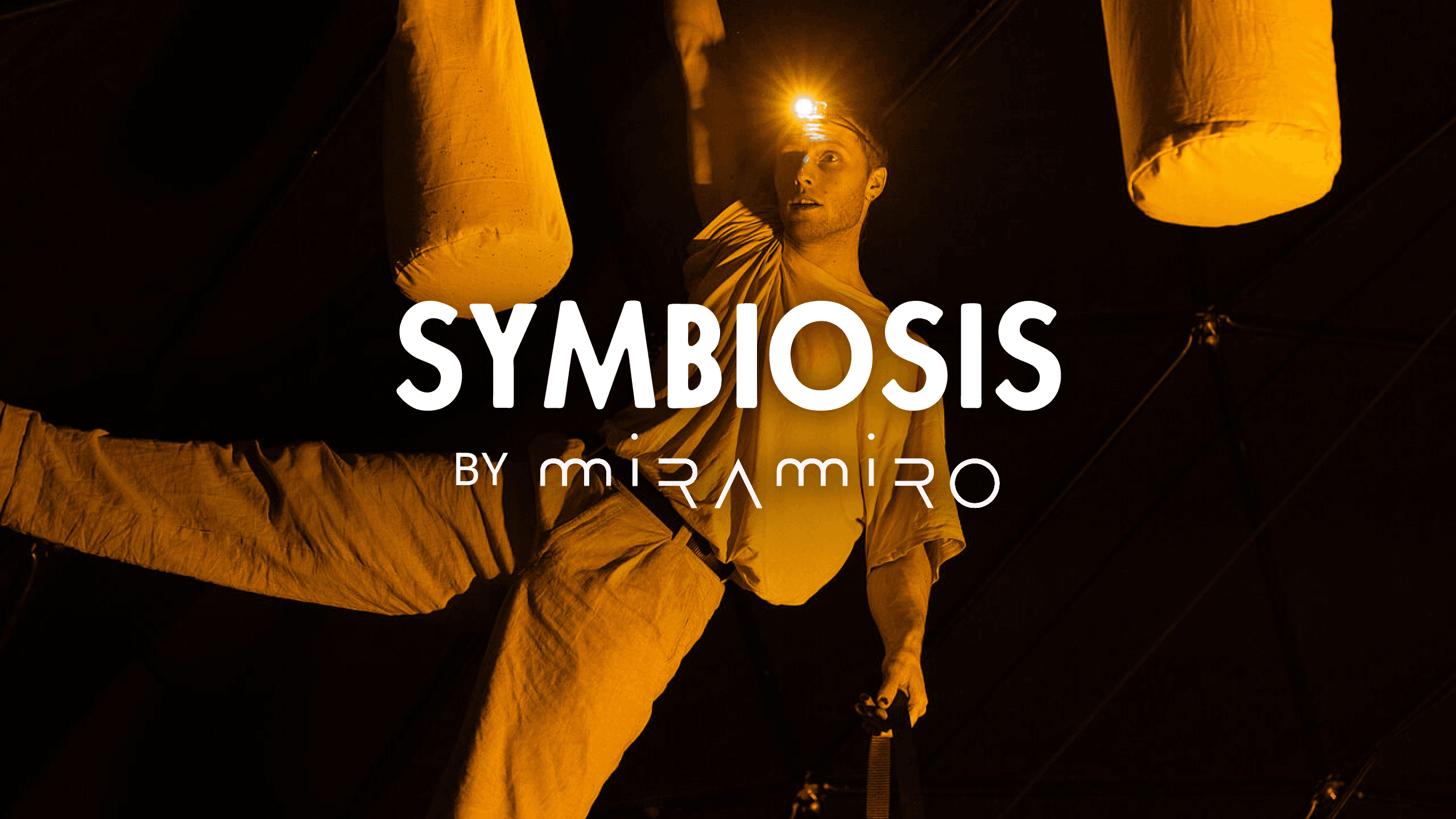 Mira Miro - Symbiosis